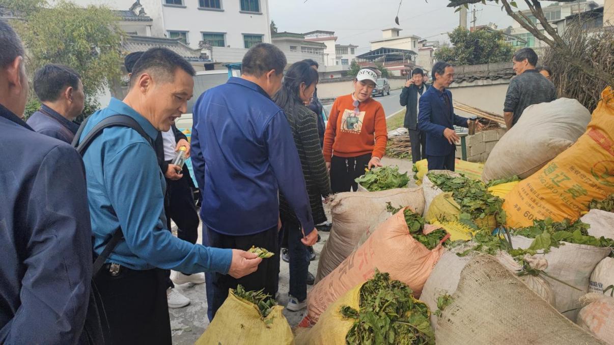 IMG_20231027_145229_1