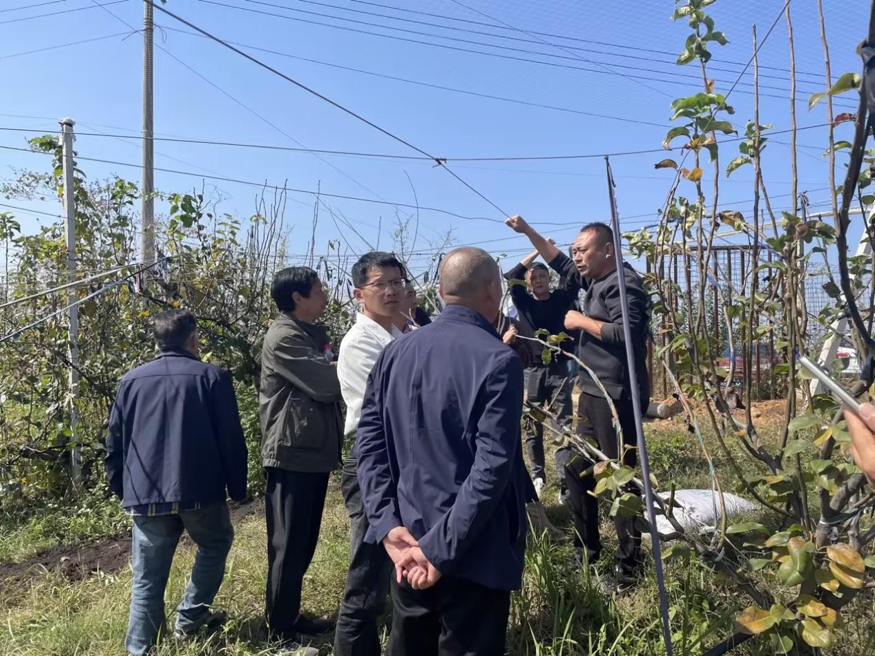 e018f8bc-c8c6-4d60-b9a3-1ff267ddef03