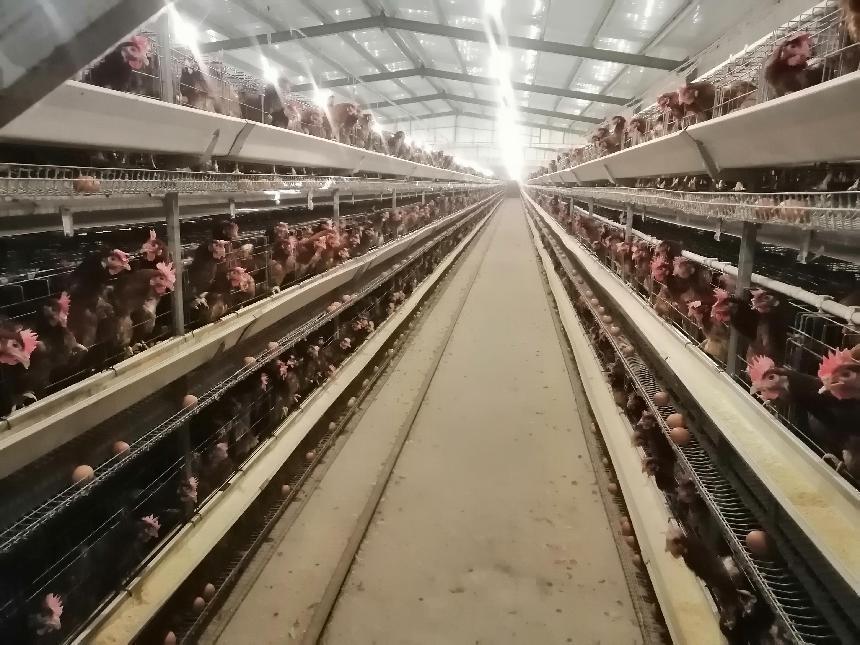 f94604b53d49382b72313a98285d421