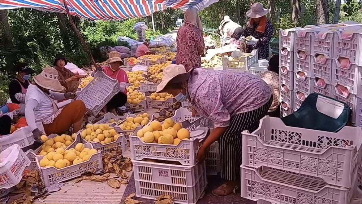 7bb74333ebbca8ae086250fd6d717a0f