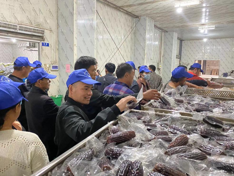 8c45e8f4004e9deb74d091f28ed95f0