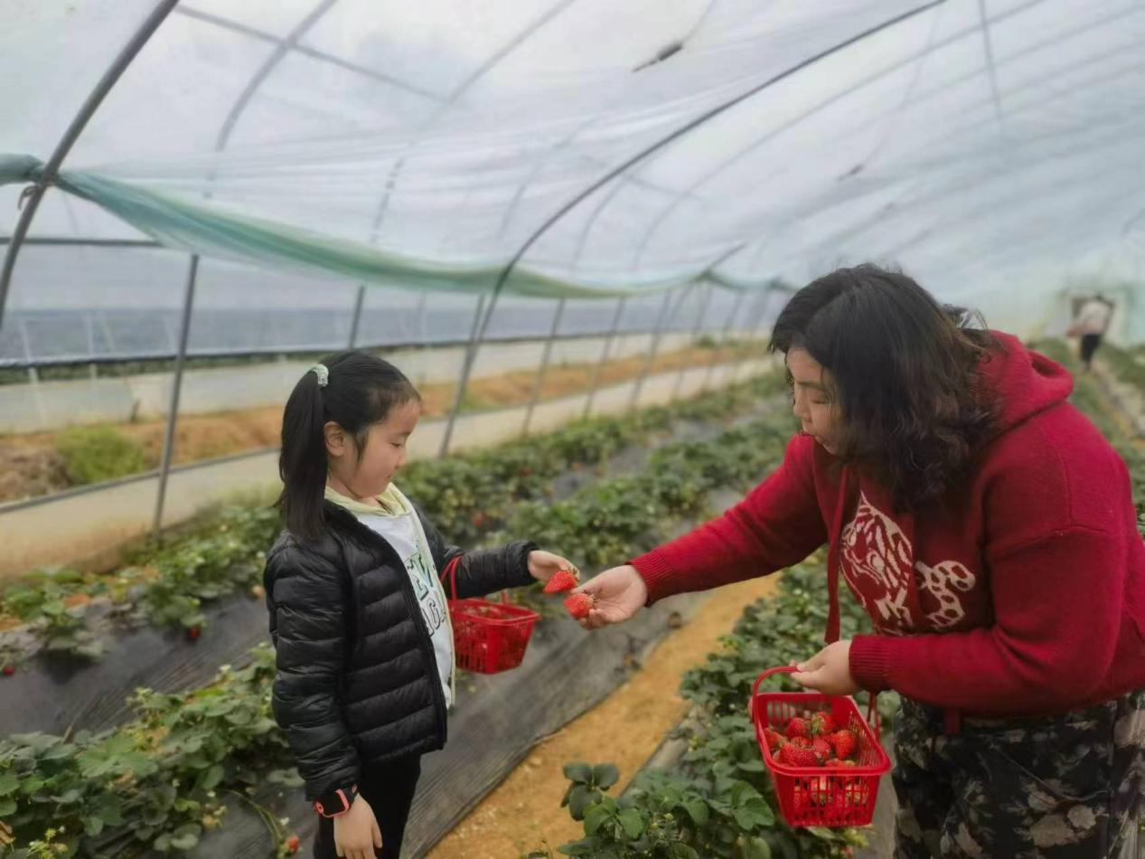 369b210a13fc7b5ab0a942c33af6f67