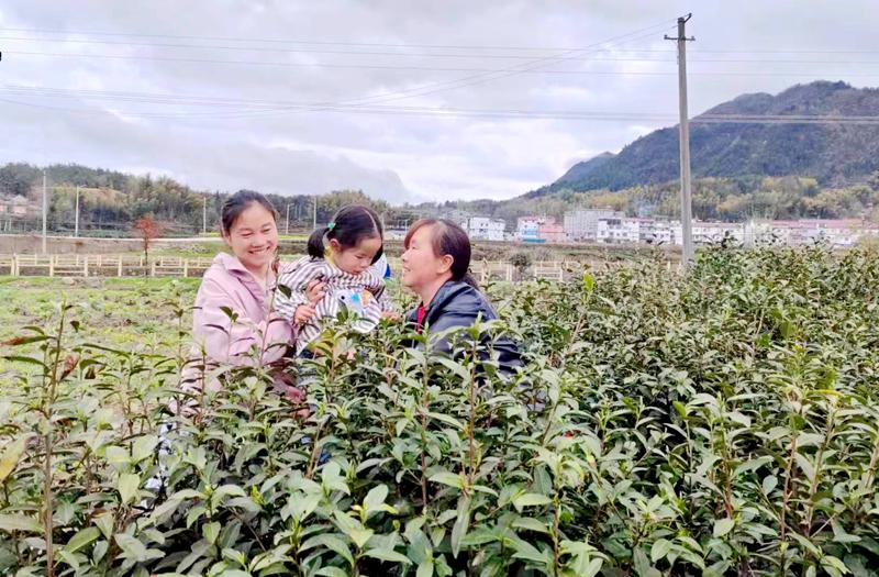 微信图片_20240410110505