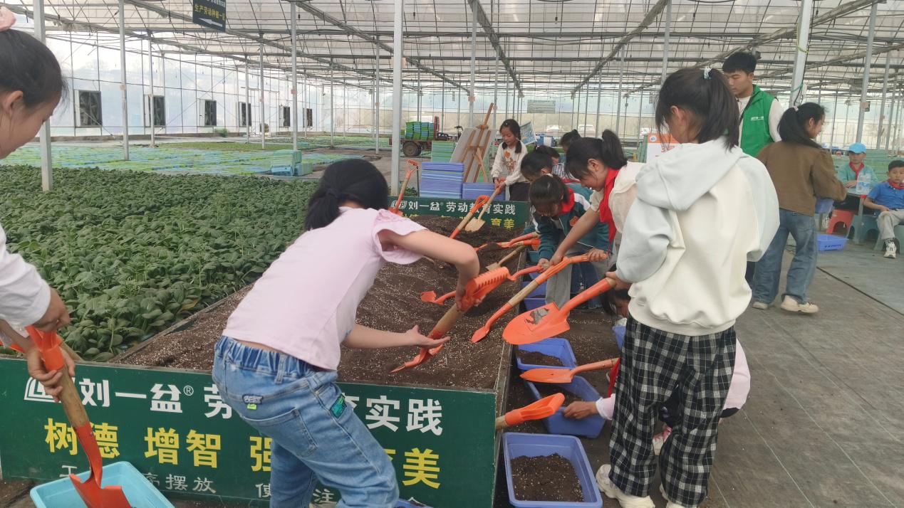 C:\Users\llp\Desktop\2024春季研学游\图13.jpg