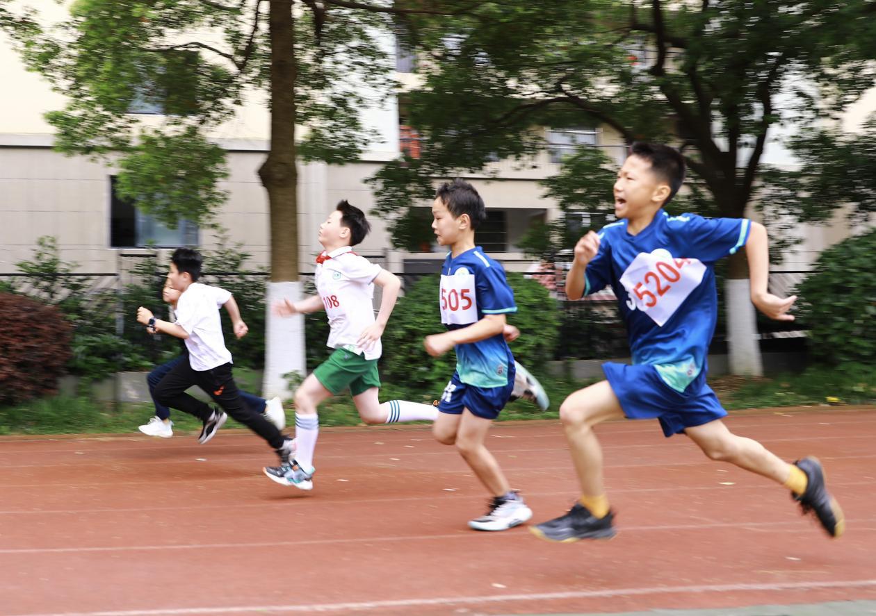 微信图片_20240429202305