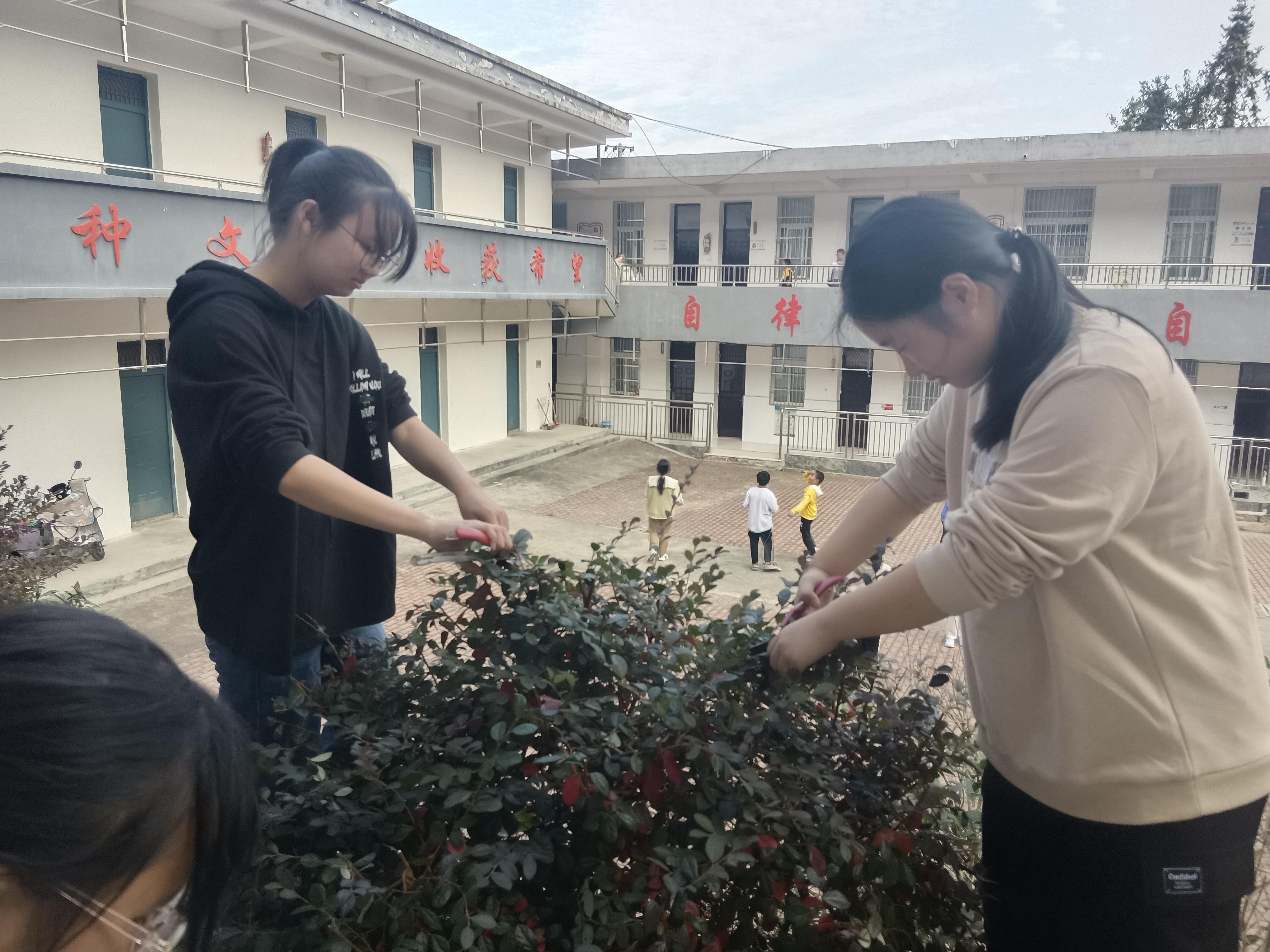 剪枝