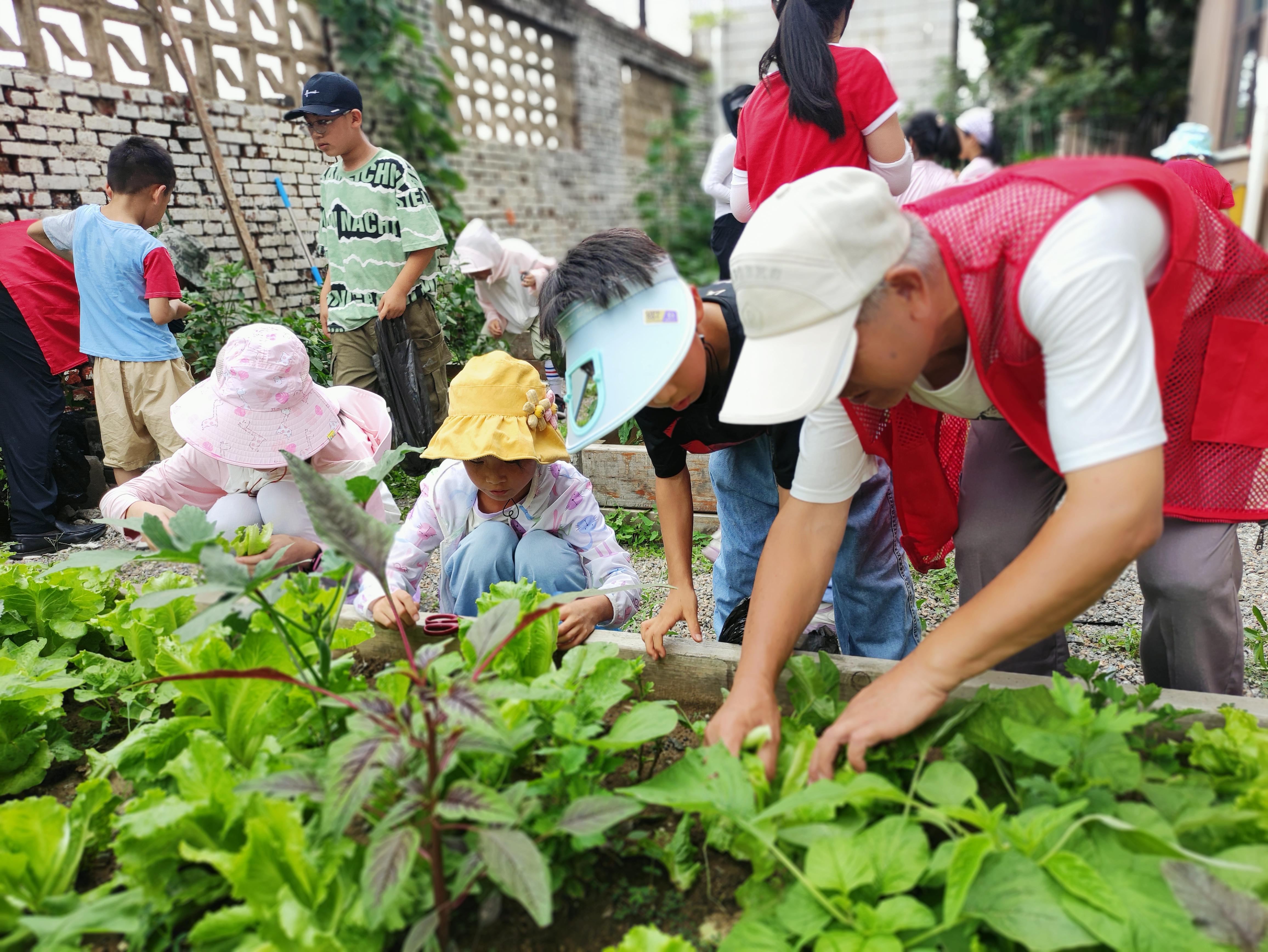 3c4f20c7f316c5590a4216e7edd9eec