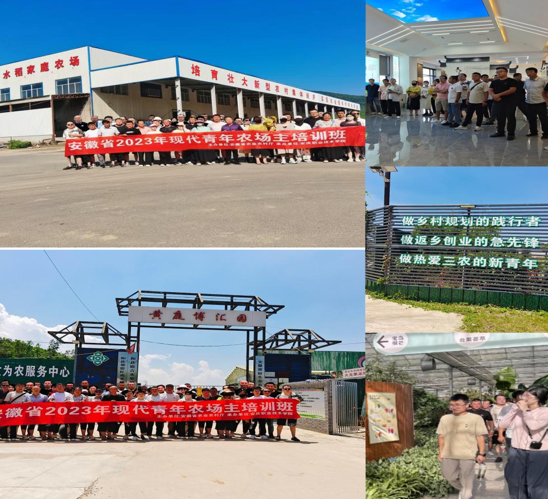 359245c3e2424a4377c7d42c18bbfcf