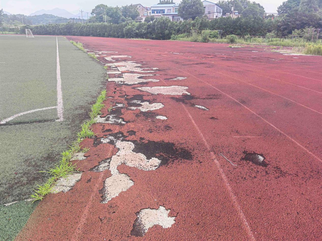 3daae9bb04c9a562a3a430bfce441c4