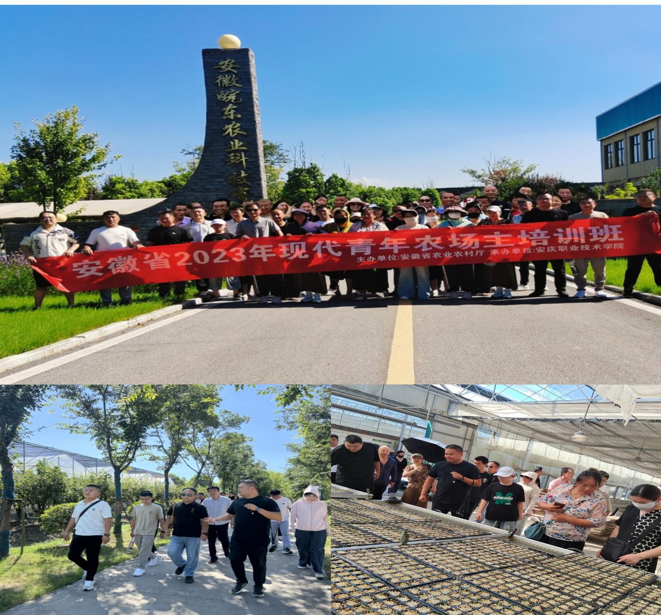 8f77a33d660ac7597830c573528bb2e