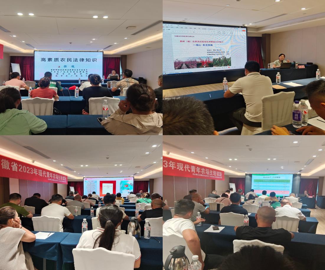 52affad9e69a667a760b29863a75d86