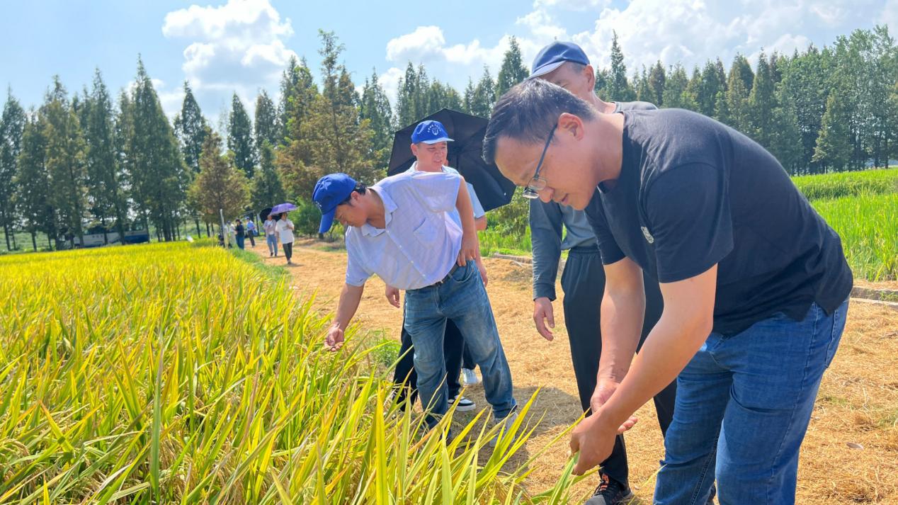 f350cca710f5aff83b2d5e8a107bd08