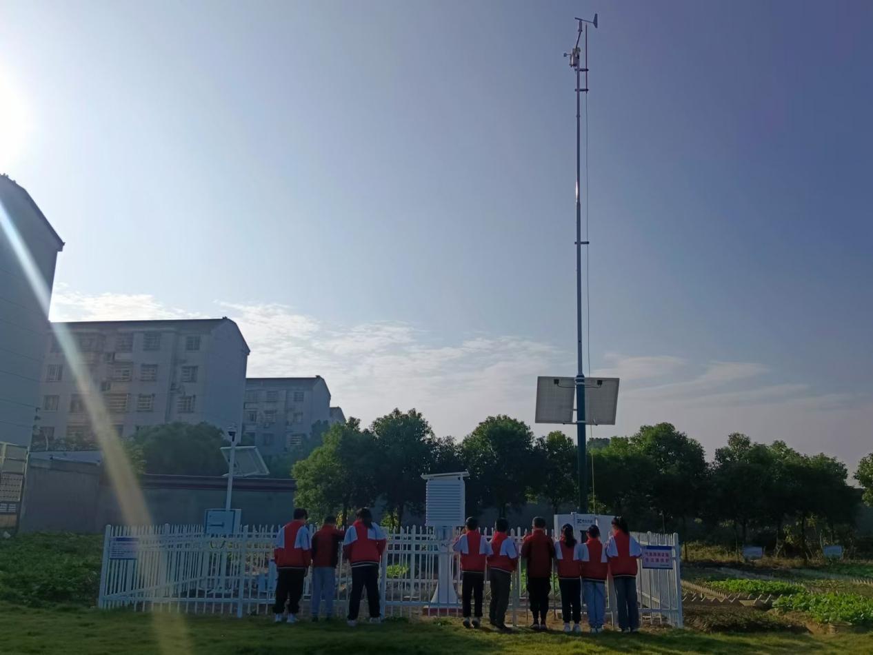 31ca1d3ddc4ad736ab11fe1ac7f135e