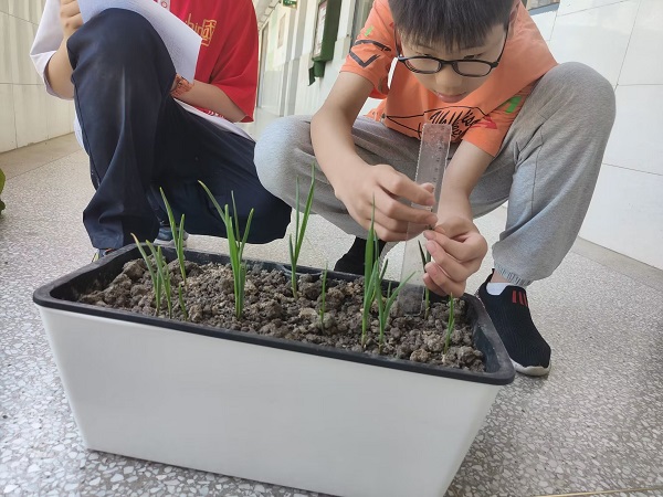 Image_273185487651204