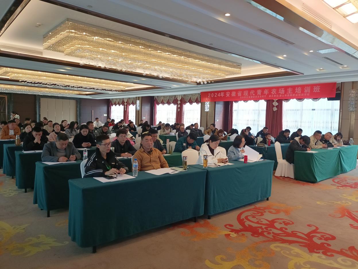 微信图片_20250318144305