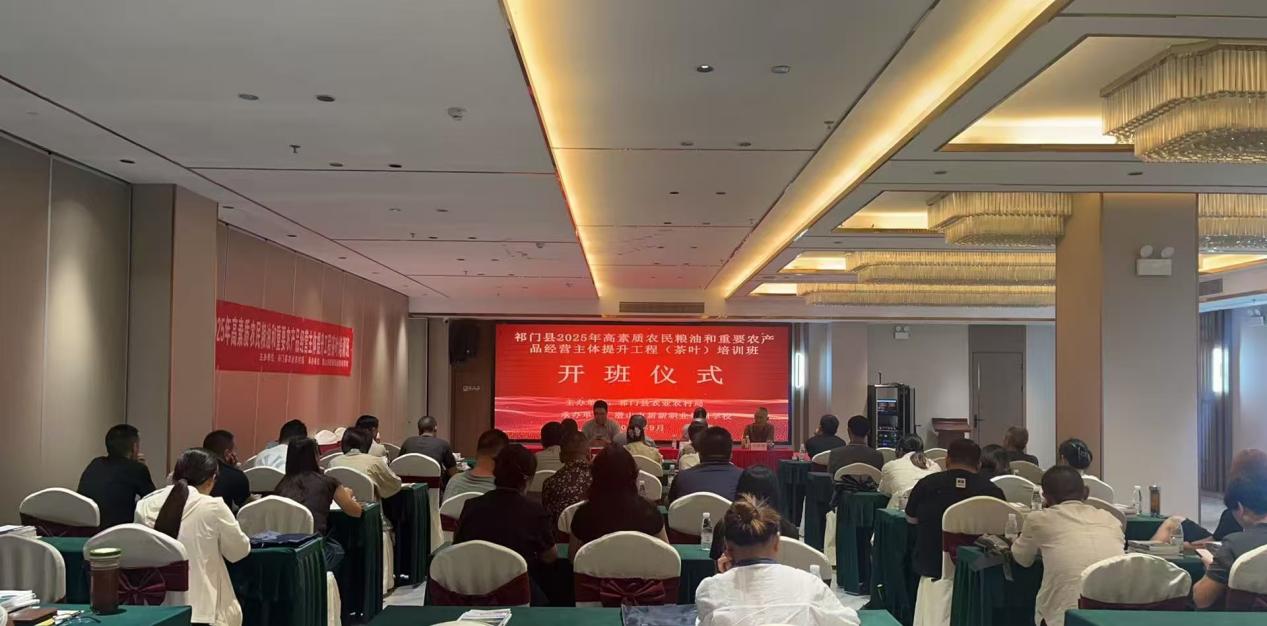 8ffd069270dcd583231b28edcdfe053