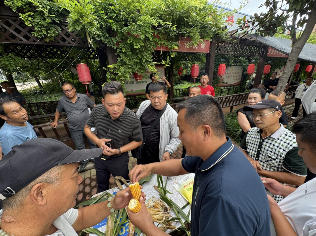 微信图片_20250912144810189_11