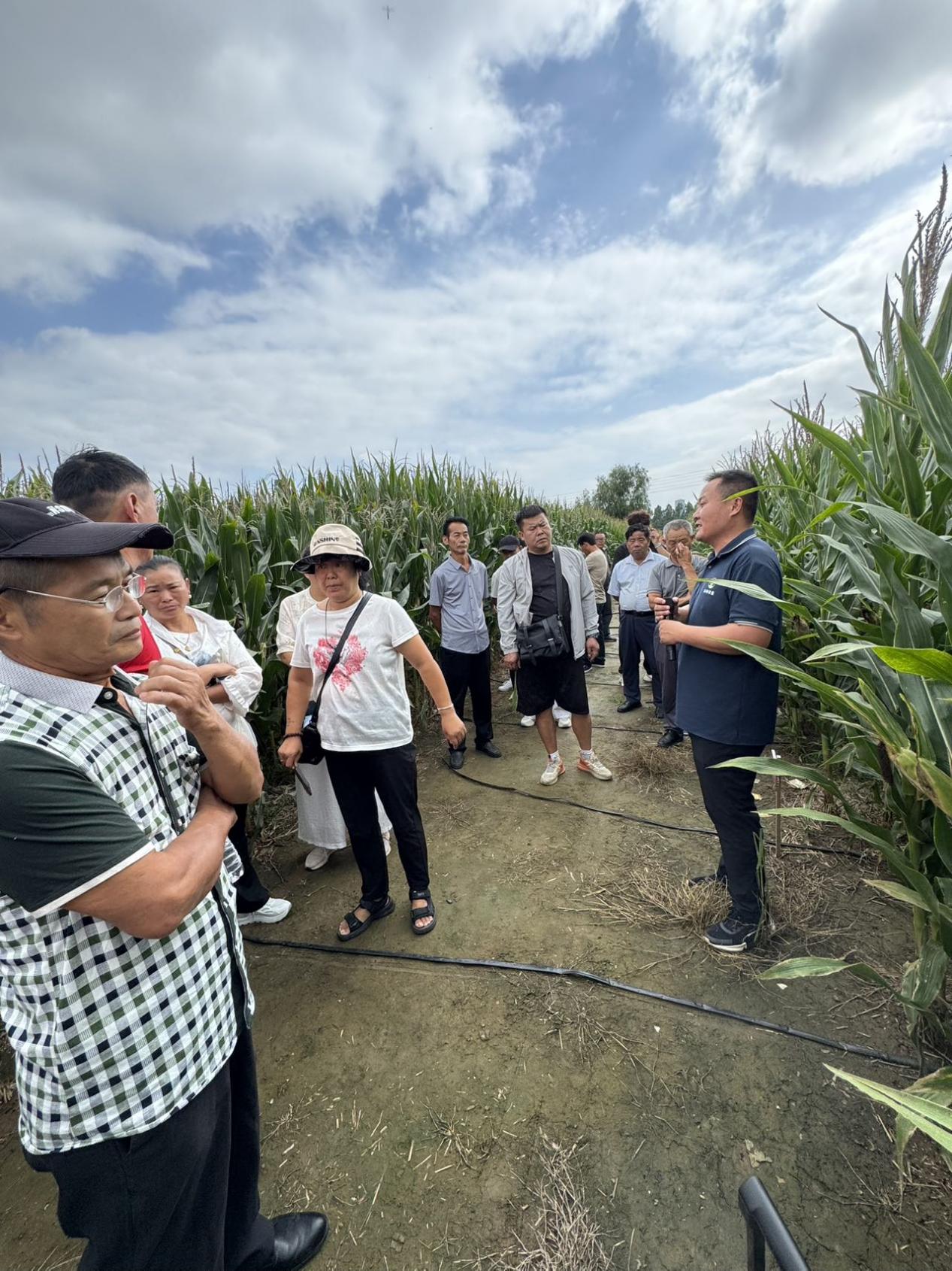 微信图片_20250912144815190_29