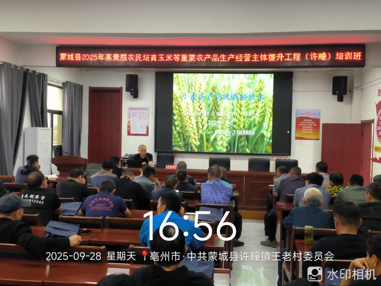 761d6152adadf8b86225c4a8678498f