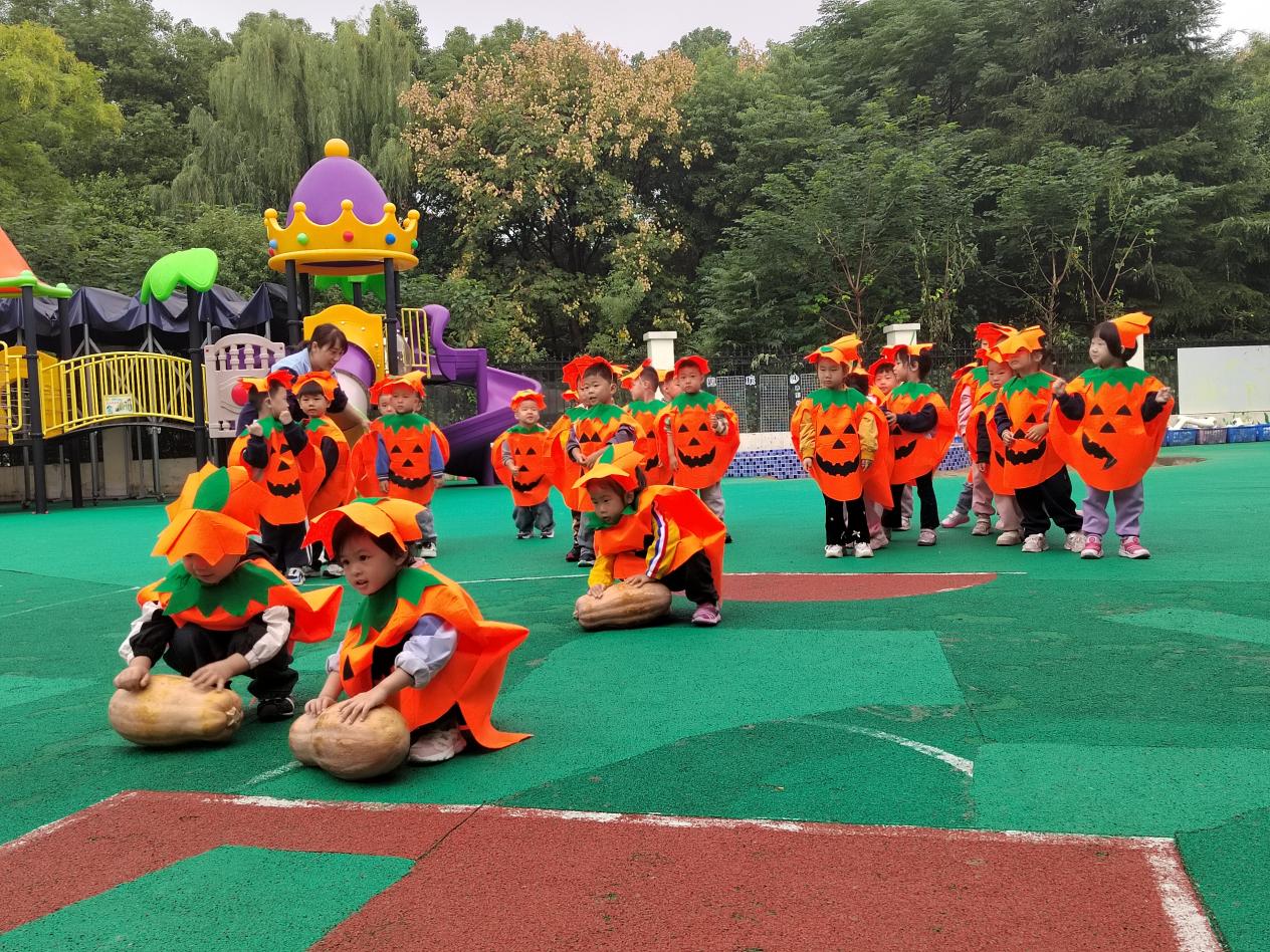 微信图片_20251014104844_2124_243
