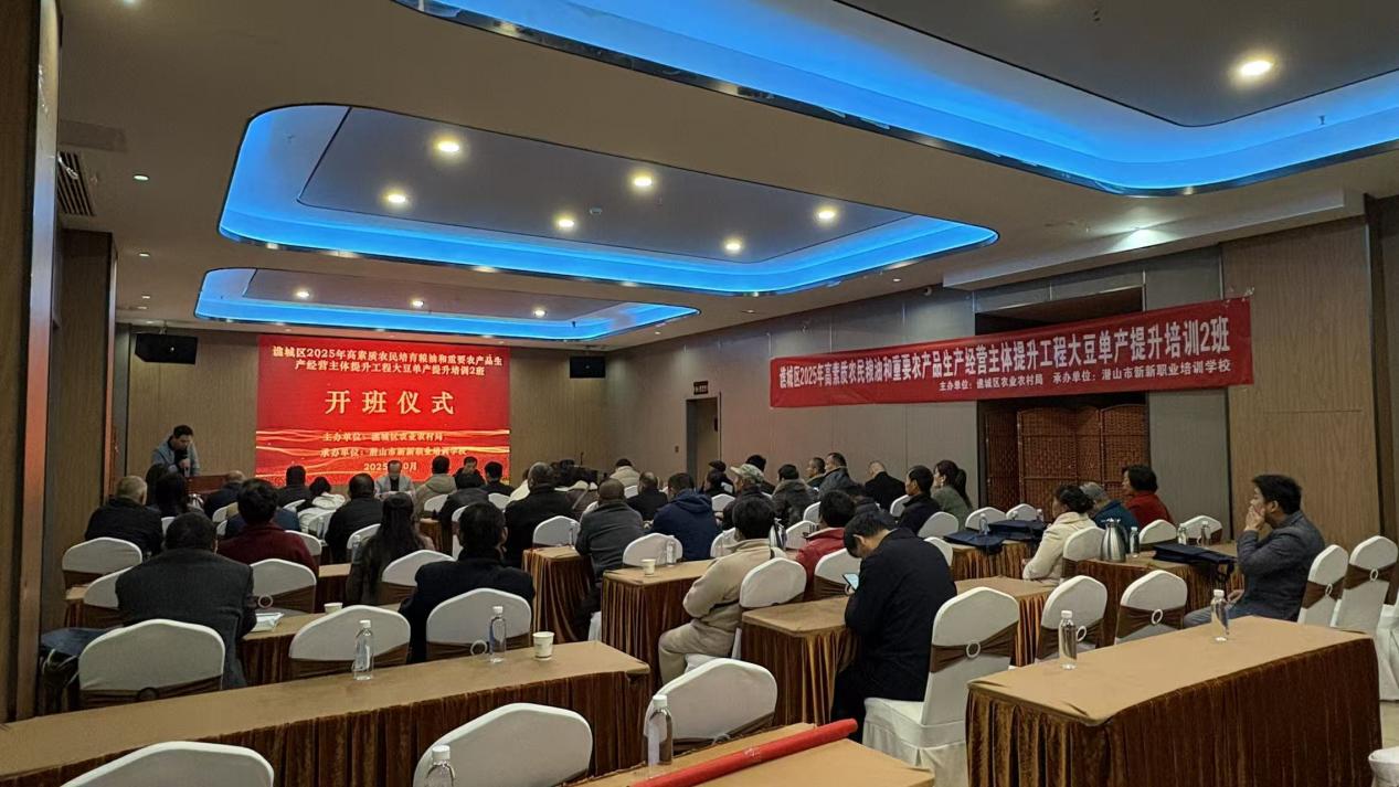 c03b21a747a0aaabdd9ce8f9915af55