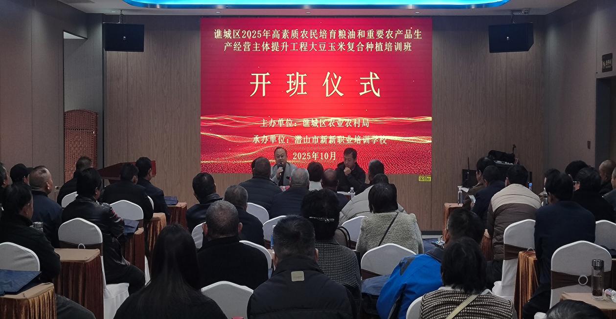 ddc8e62ff07a33ba01eaa4672db67ed