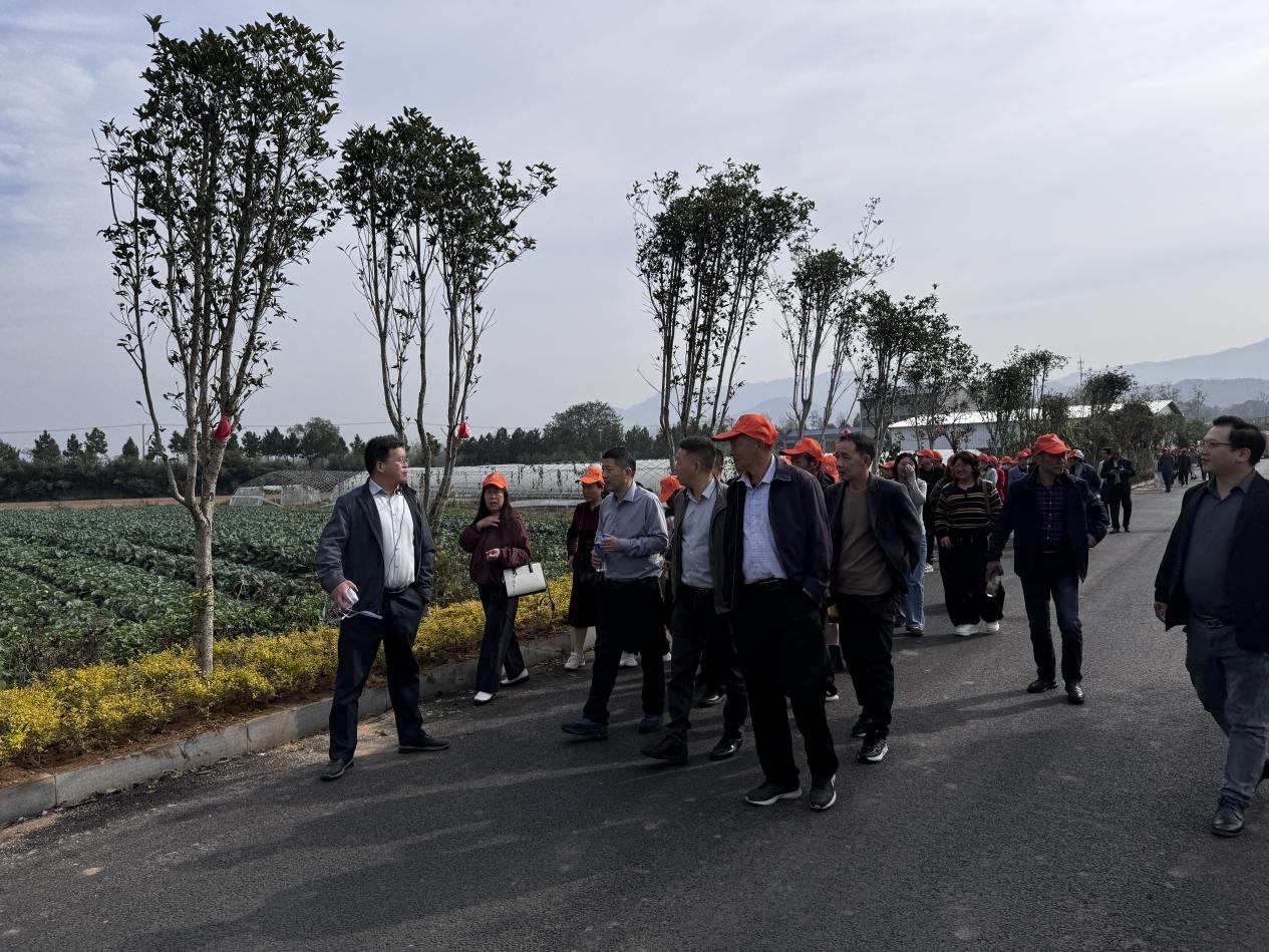 39e5bcb279e25d4f7db69df9ec96567