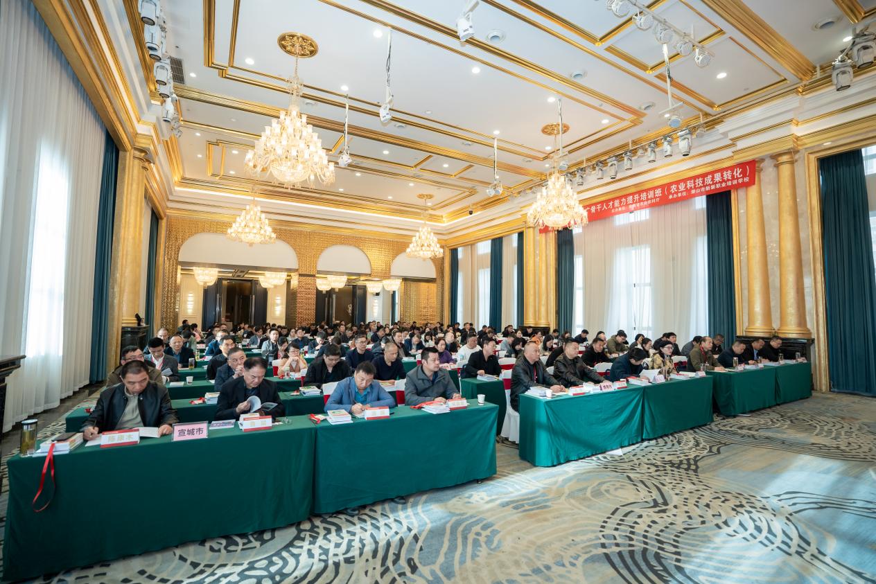 23ffa2038980288798dd956cd74df2fe