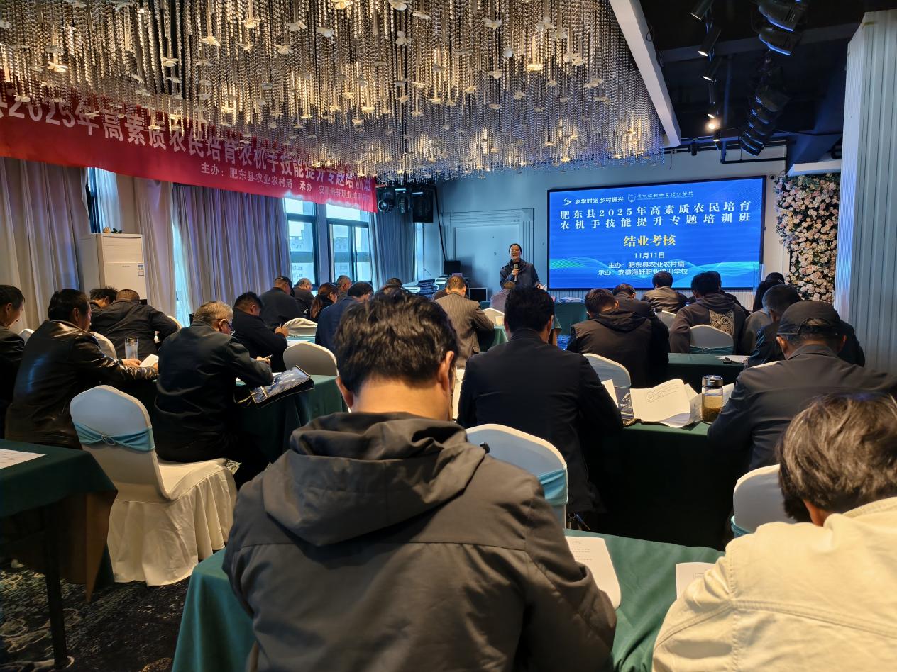 31a74a02-5fd5-4c53-a659-9b7528bcb174