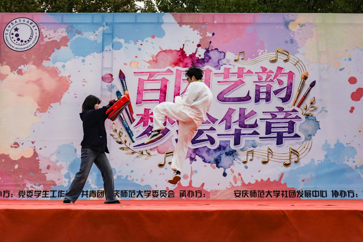 近景 武术表演