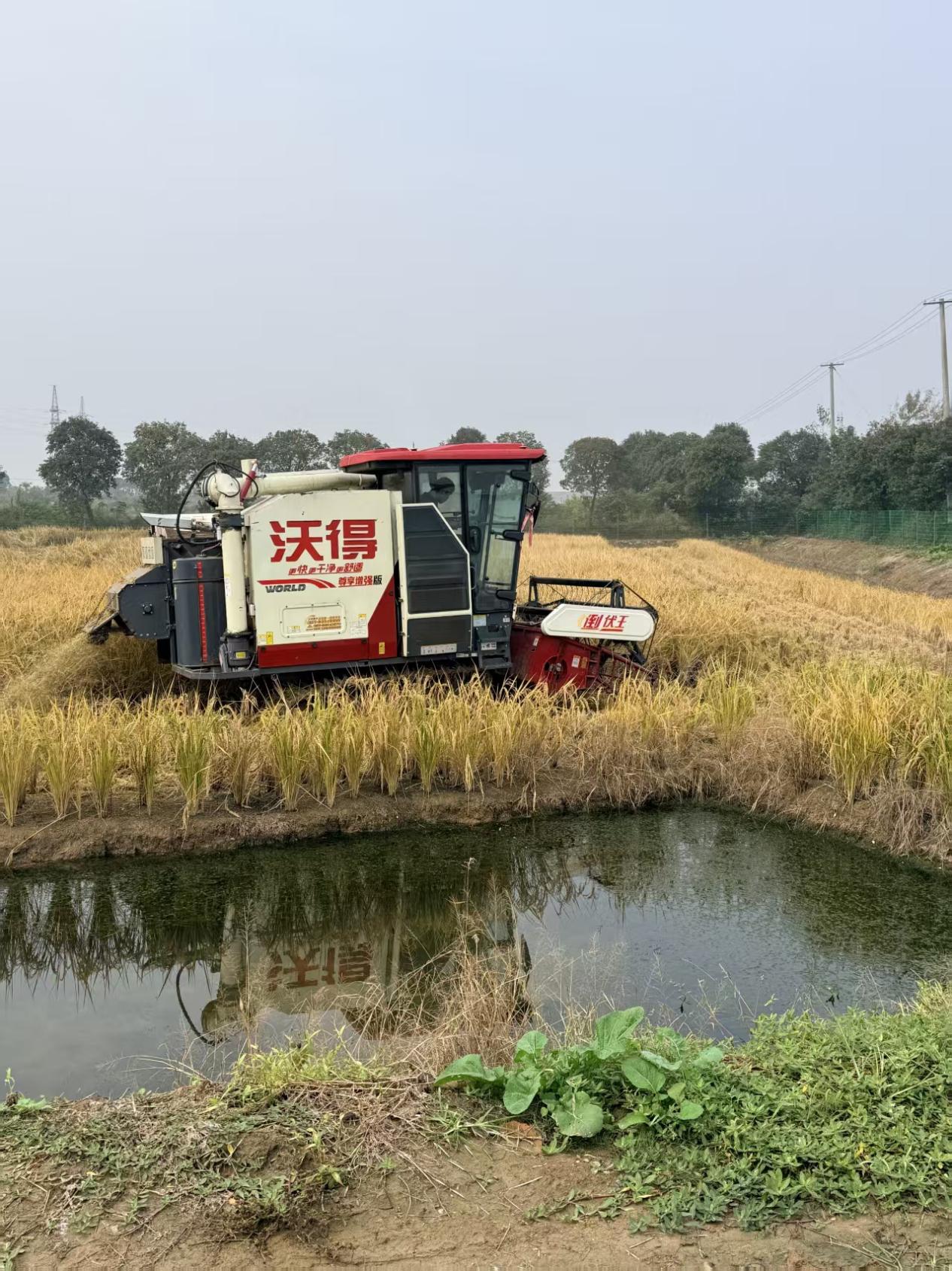 d64a1c66405ec89c2616a0ee8306a514