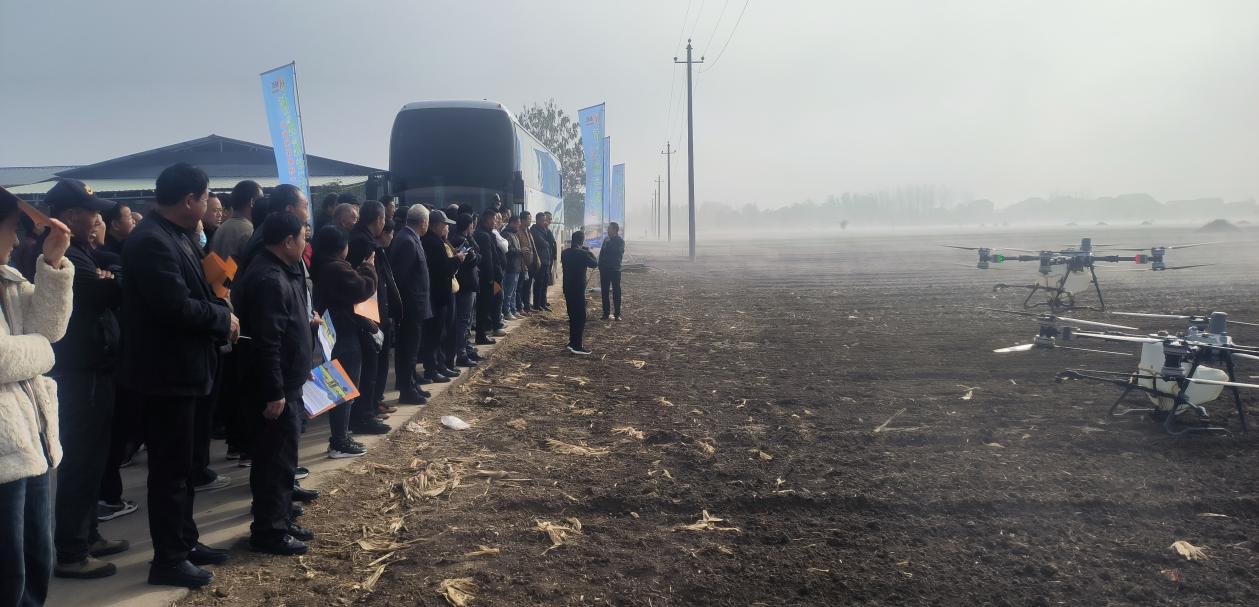 06d614004bd0f49464938a675a7504d