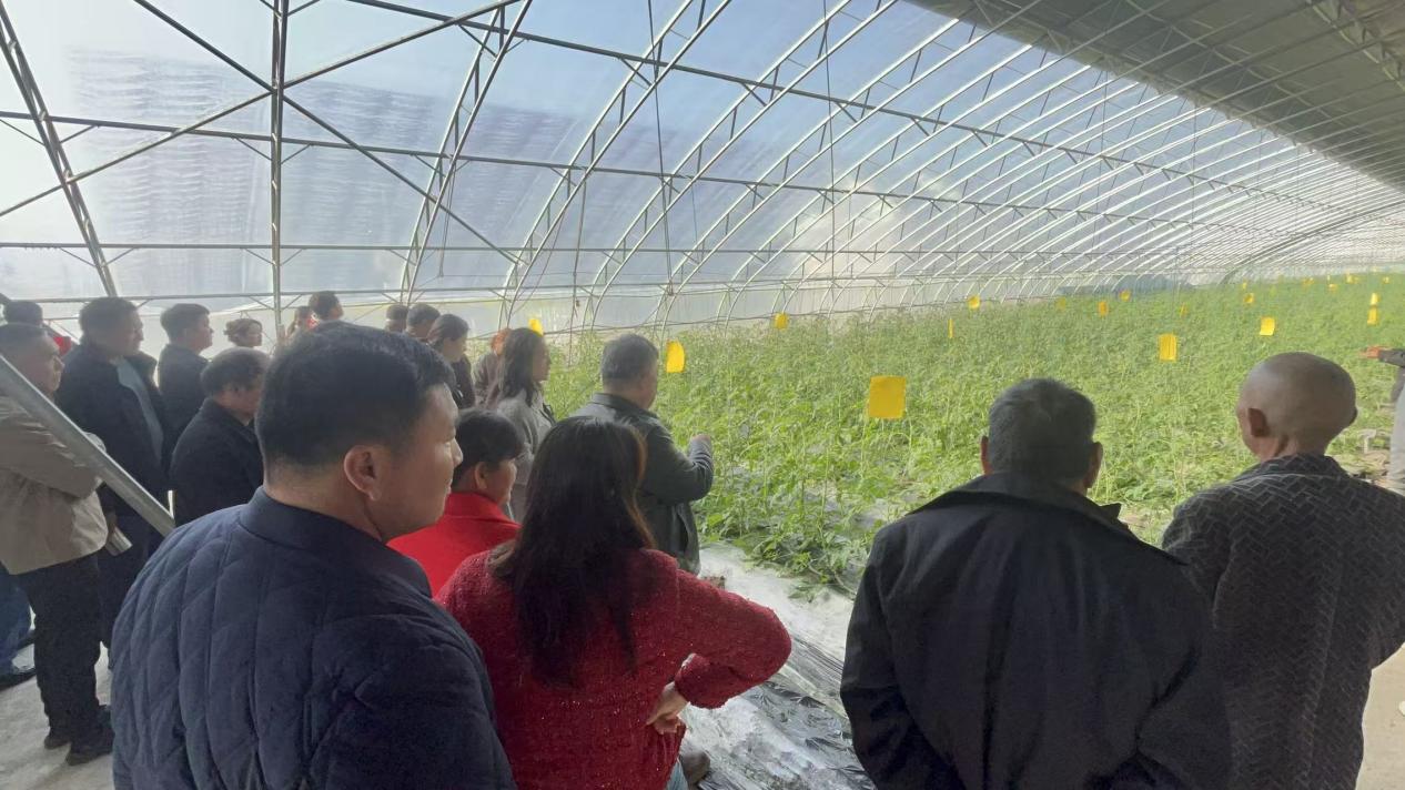 bfded8a36cc9ff605ab2b776cbf21ed8