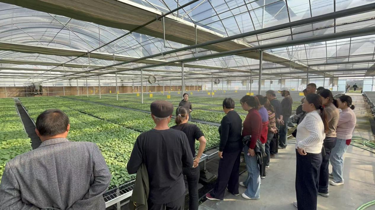 90e401fdd745d7321b817cde9ea2ce60