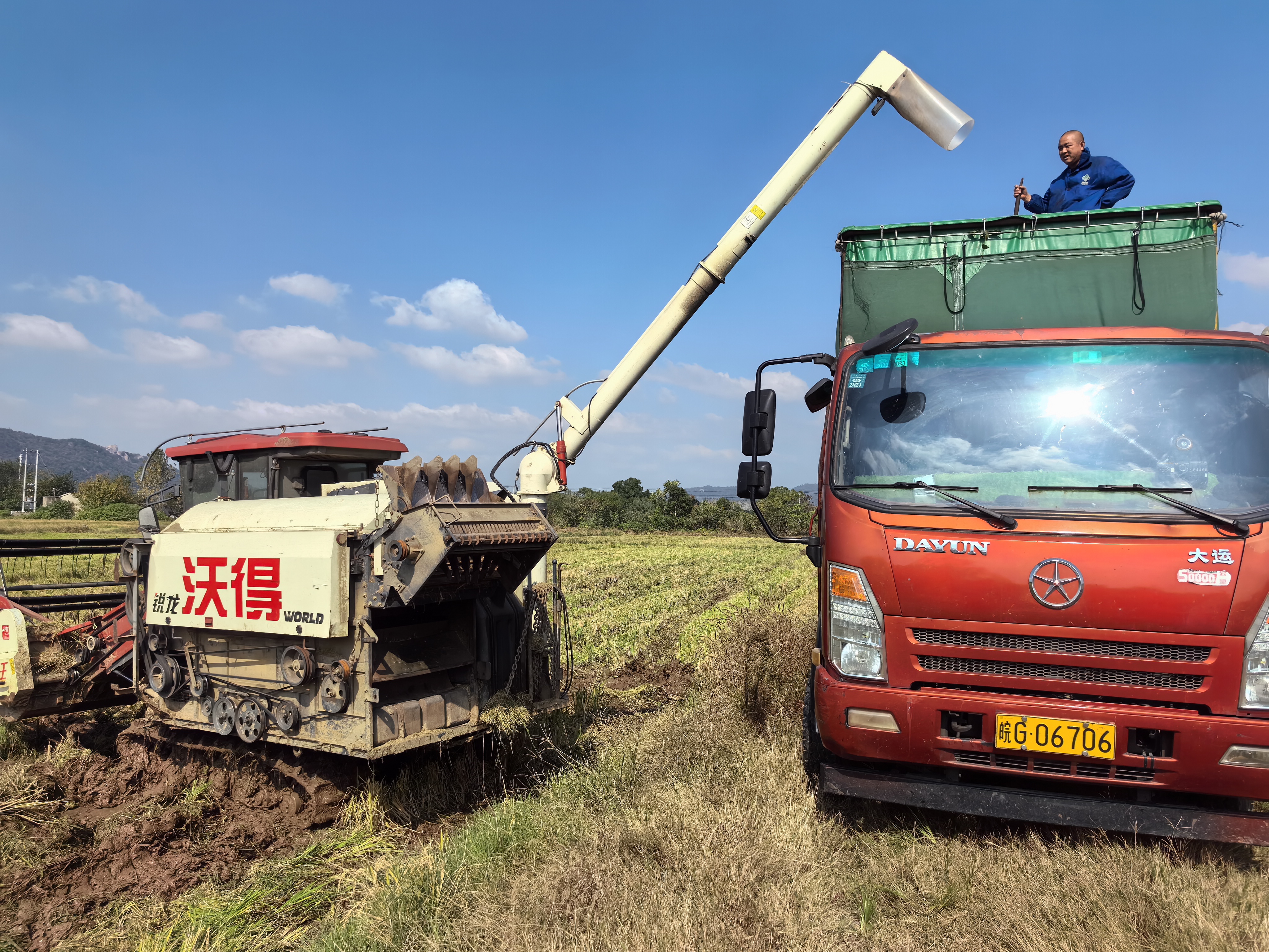 b5affebaee28c013615d82017382c5be