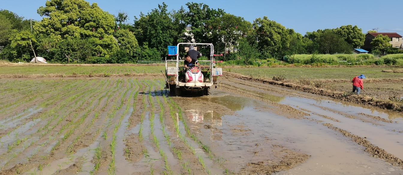 da07ee43c464d03b20412141fa42f524