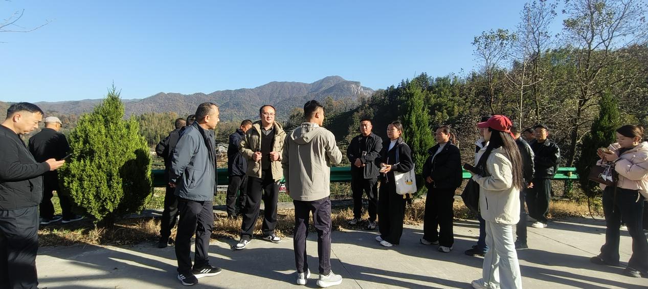 fa5969f408ee54faddcdcafdecd63a3