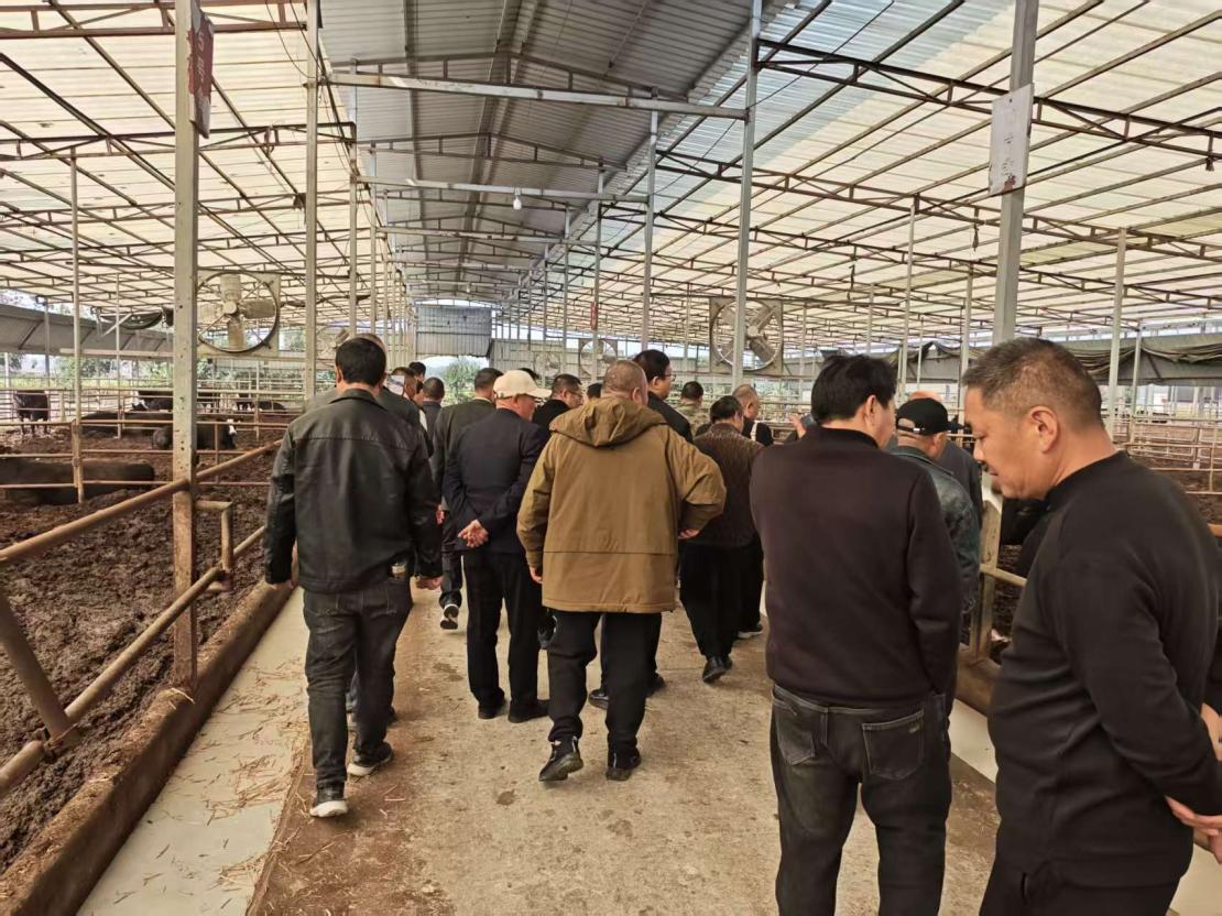 f901770e80bbd486d288c002a5e722a7