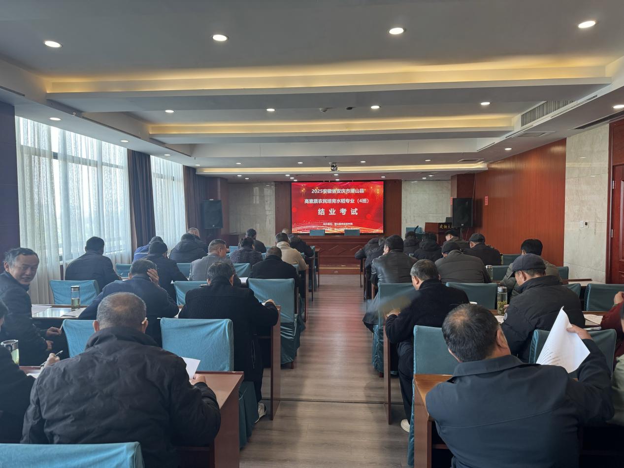 1d0f31dc89df5af3f3c1760e82384b4