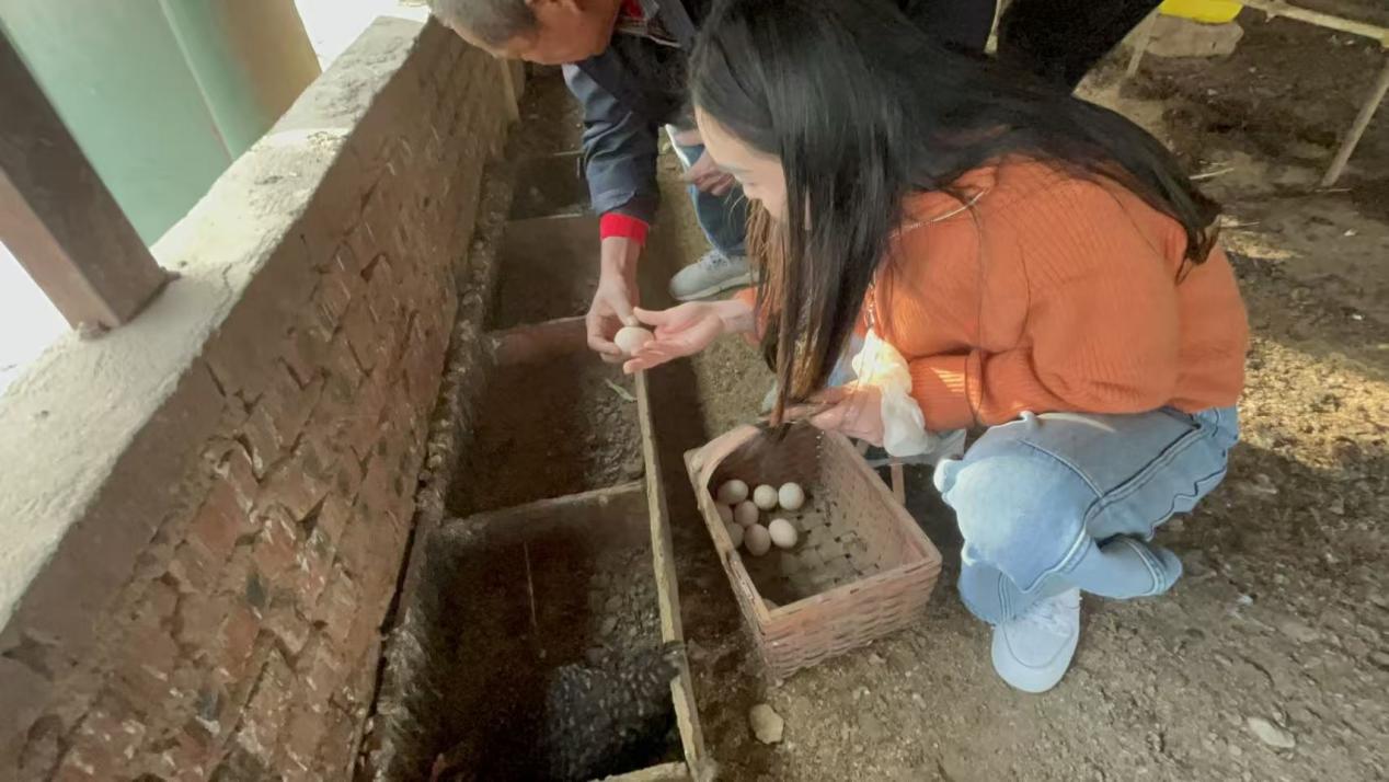 2403c79e7788497955e1bc2e7dd2b82d