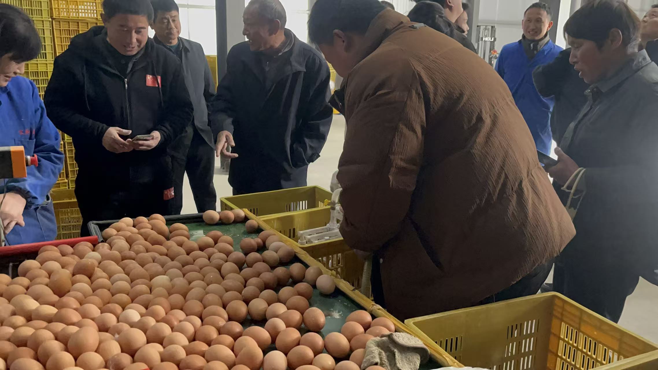 211647e092538f7761e67a467a01171c