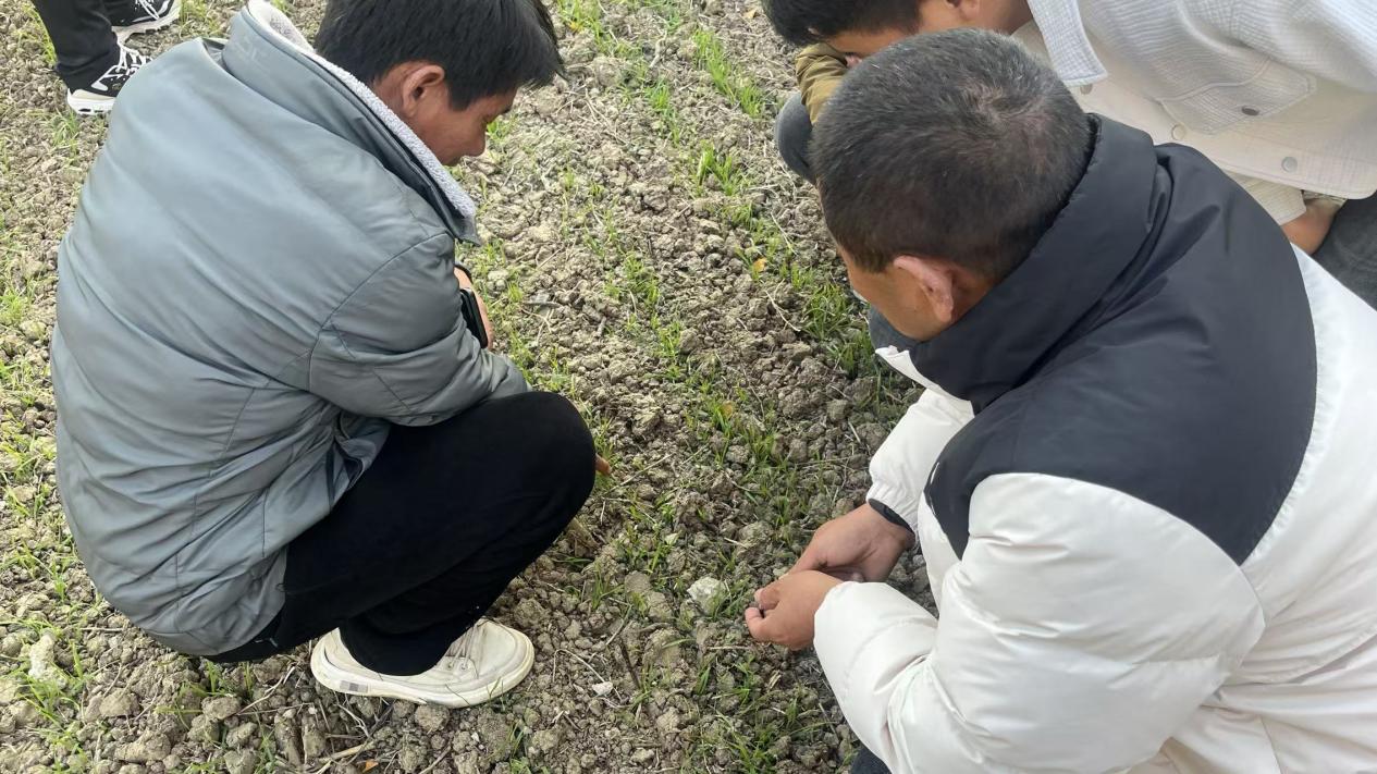 078146463f1316639a153775bdbf8cb9