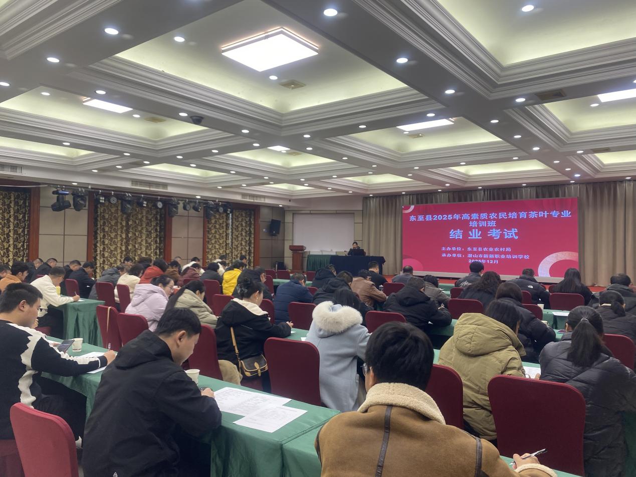 03194c8b982035087074cedeffd23ddf