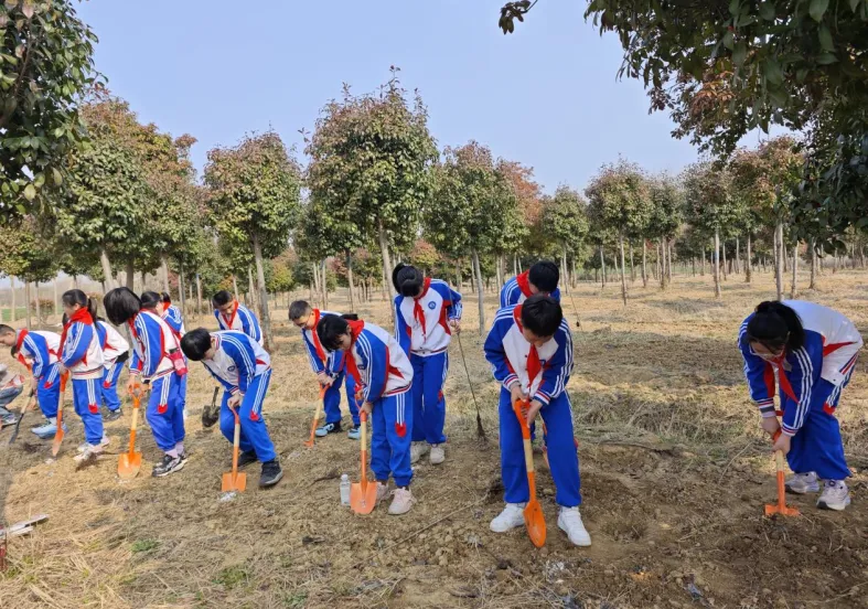 图3.png