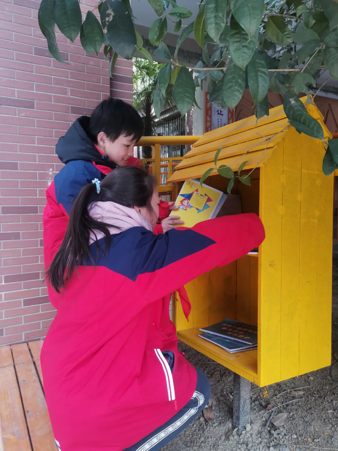 图片