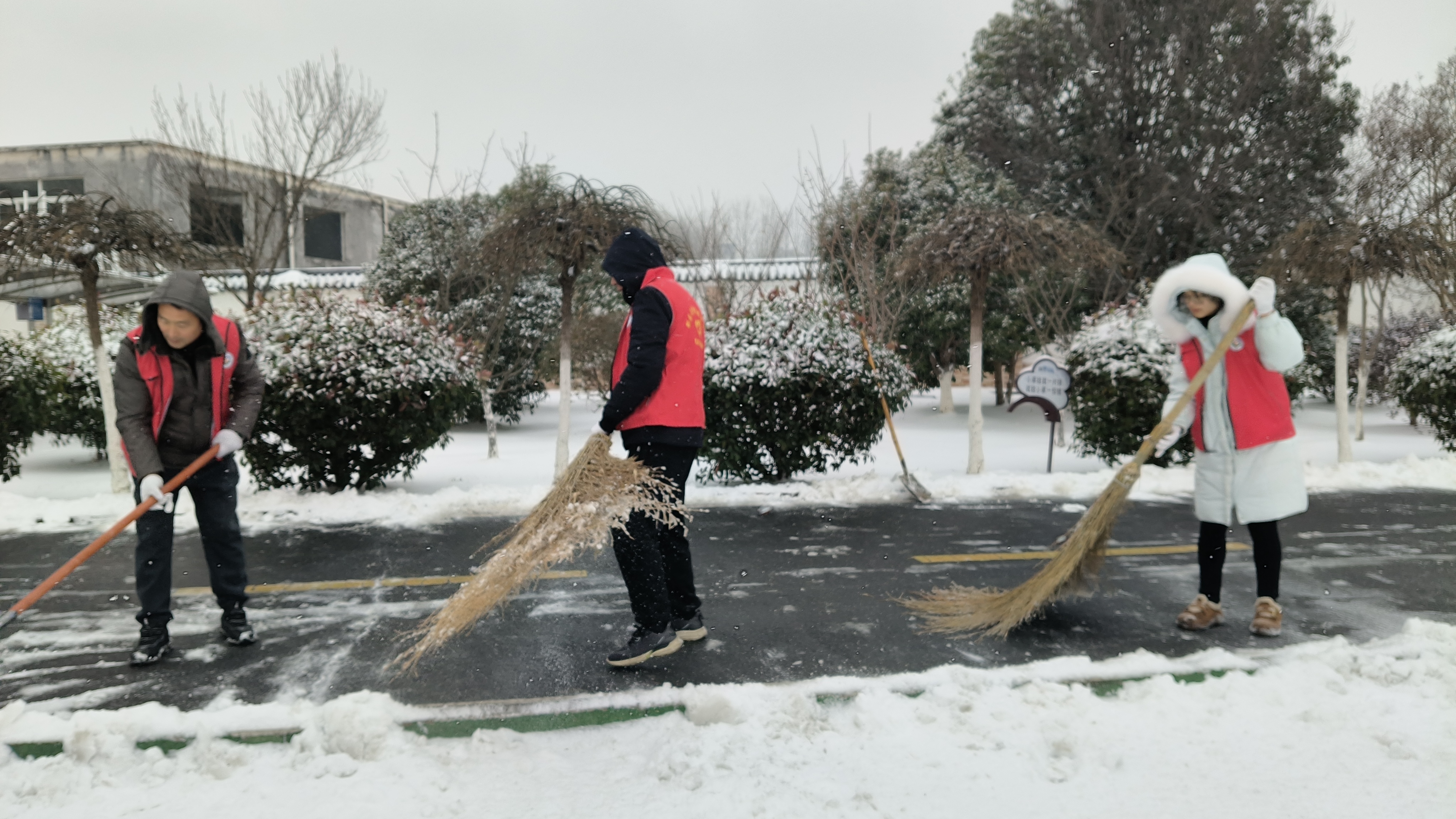 微信图片_20260120083707_141_112