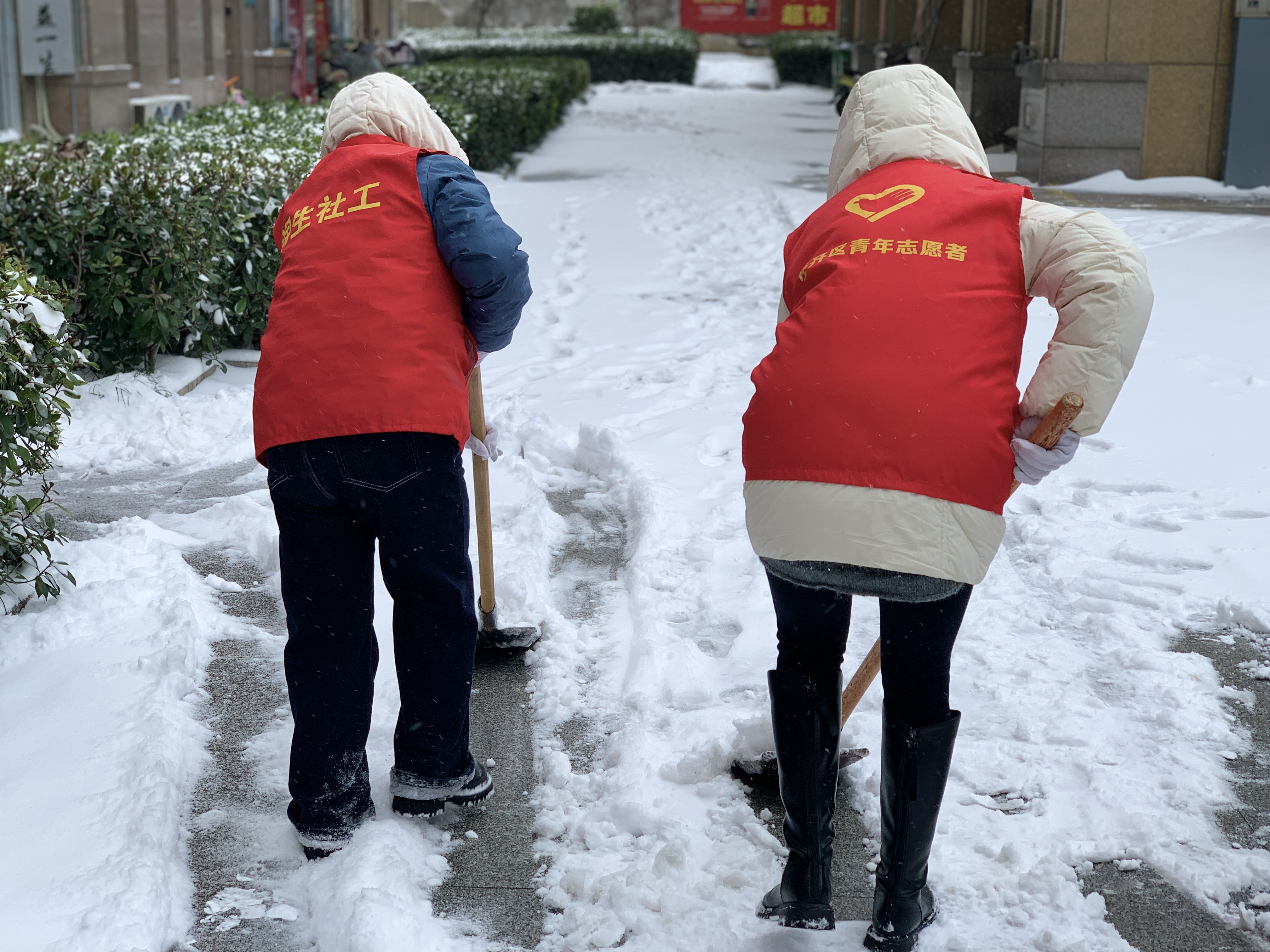 莲花中心星海社区：雪地里的志愿红 暖心中的民生情 (5)