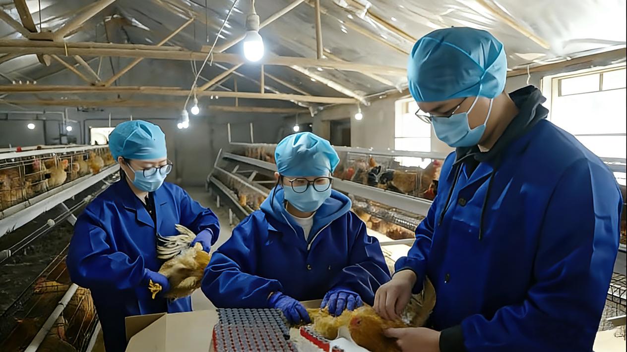 a1320095ea5dce12e956de514dd244df