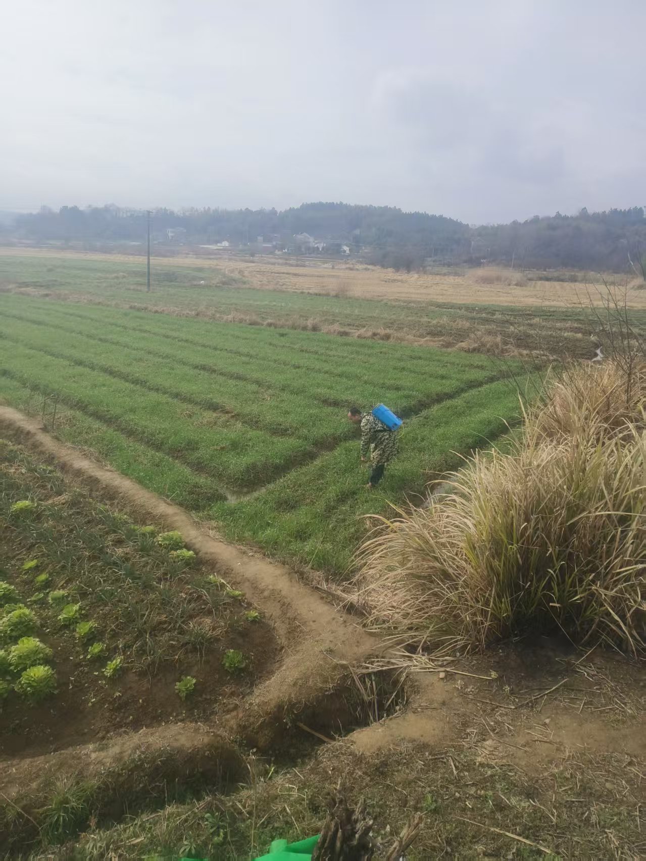 7a0e8ca5ceb2288440df80b80a42f0bf