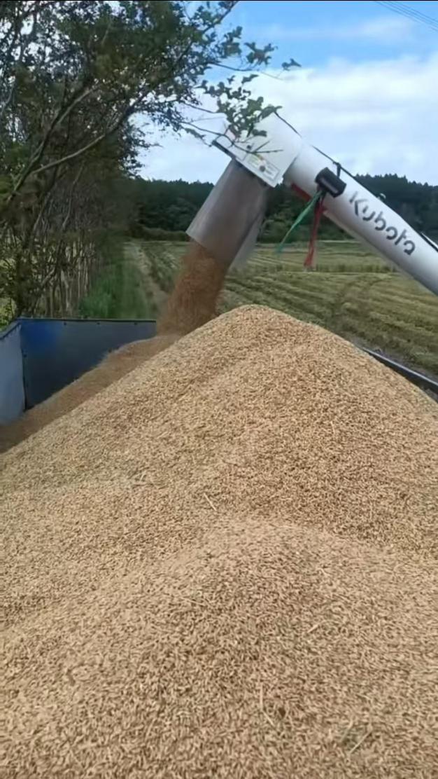 37a7206dc6cebbe830647f7af9e06be